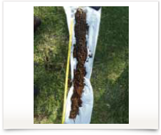 ENSPEC Ground Penetrating Radar