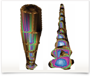 ENSPEC Sonic Tomograph